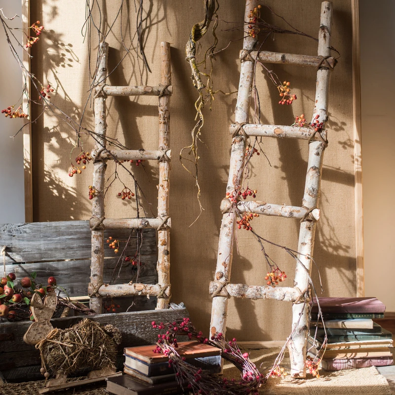 birch-ladder-ubicaciondepersonas-cdmx-gob-mx