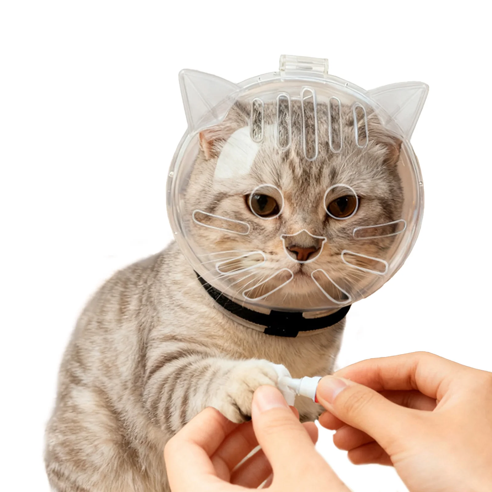 고양이 헬멧 투명 새끼 고양이 우주비행사 헬멧 통기성 방충 헬멧 미용 목욕 면도 및 발톱 다듬기용