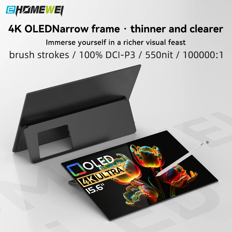 EHOMEWEI Portable Monitor RO5 OLED 15.6