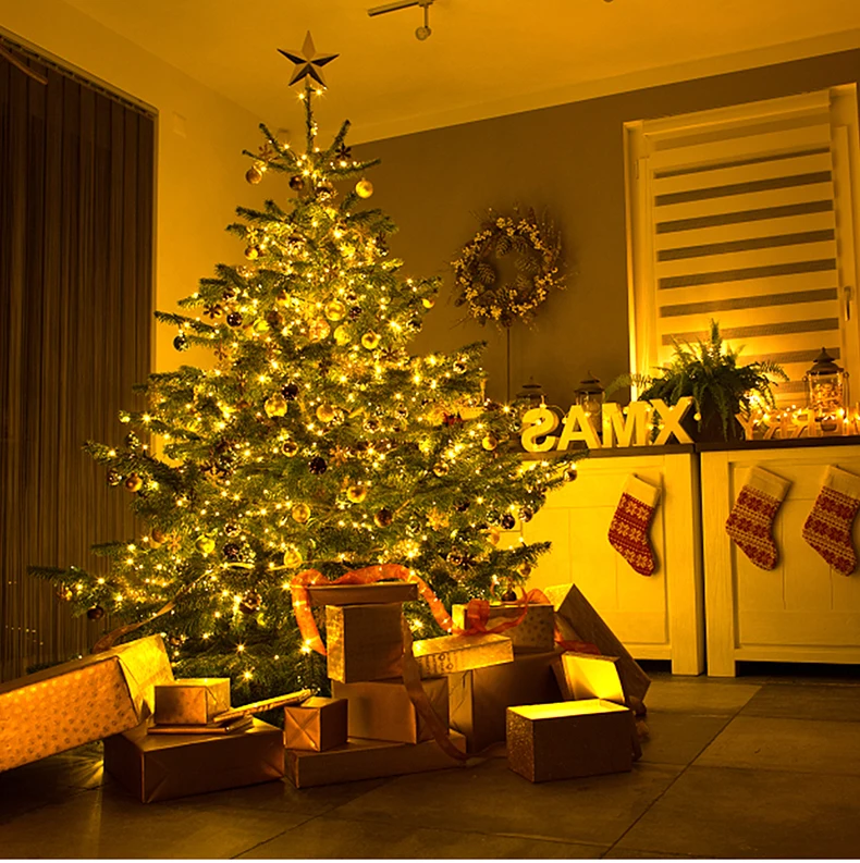 10/20/30M LED String Lights Leather Wire Light Waterproof Garland Fairy Lights S9763768574a349a089a4fb98ca2814f8L