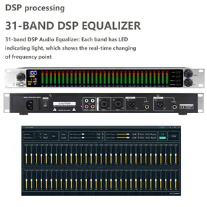 Ecualizador gráfico de doble banda, ecualizador de potencia, procesador de  sonido de Audio Digital, Balance activo, 15 bandas, GAX-EQ215S, el más  nuevo - AliExpress