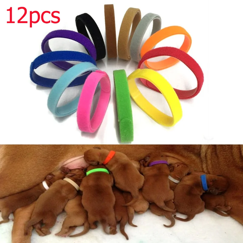 12 Pcs/Set Puppy Newborn Pets Identify Collars Adjustable Nylon Small
