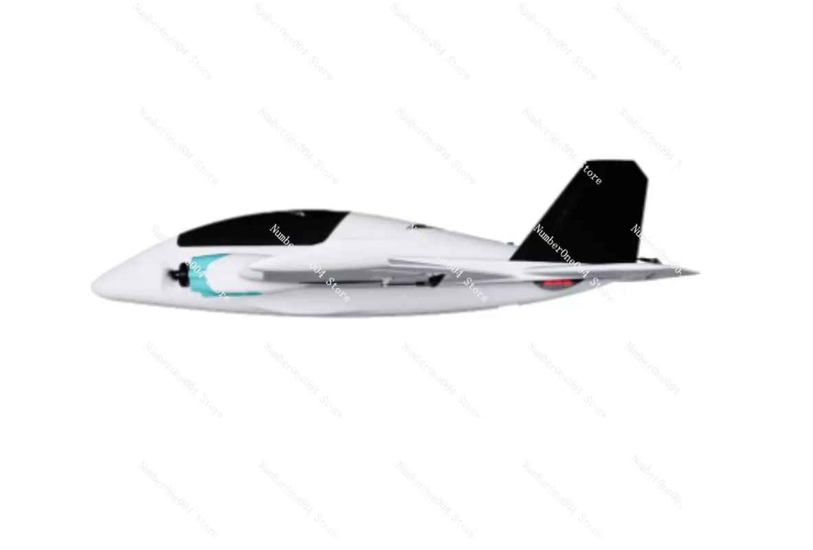 Vue arrière de l'avion RC FPV double moteur bleu avec empennage en V.