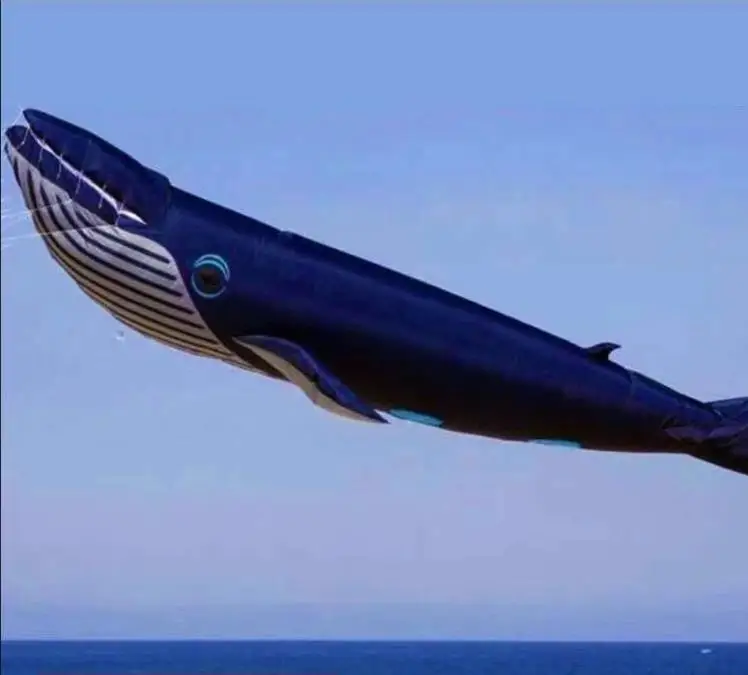 17m Kites Professional Giant Kites For Adults Whale Kite Kites