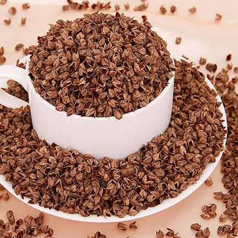 Creative Full Buckwheat Pillow Core, Neck and Waist Protection, Children's Sleep Assistance, Cervical Pillow, 30x50cm, 1Pc