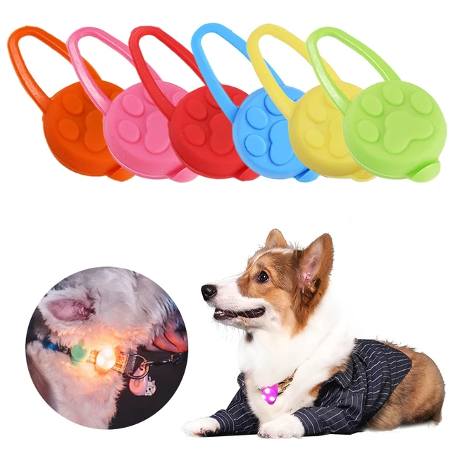 Collar Pendiente Antiperdida Luz Led Carga Usb Perros Gatos