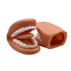 1 Set Dental Model Mighty Mouth Hand Puppet With Tongue For Speech Therapy Dentist / Educational Learning Resource For Children 1