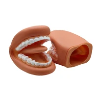 1 Set Dental Model Mighty Mouth Hand Puppet With Tongue For Speech Therapy Dentist / Educational Learning Resource For Children 1