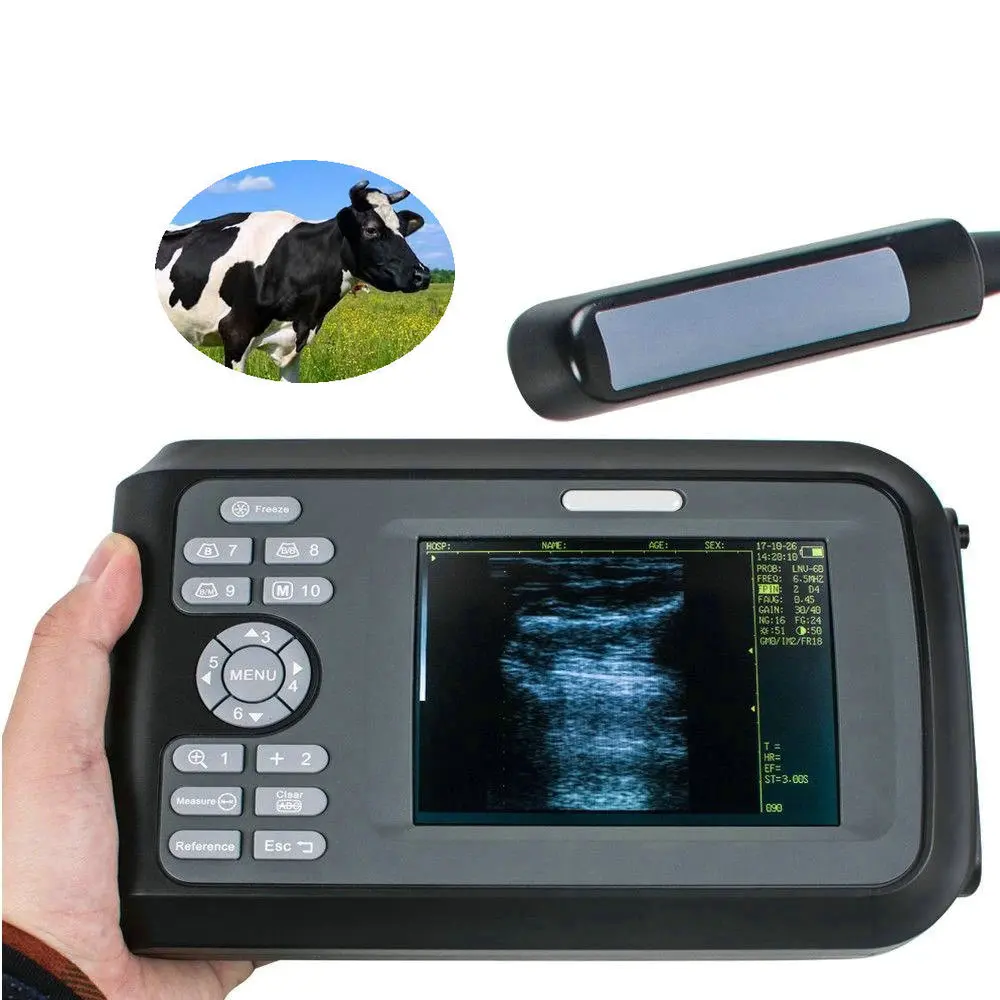

USB Rectal horse cattle cow bovine equine preg nancy test vet ultrasound machine price