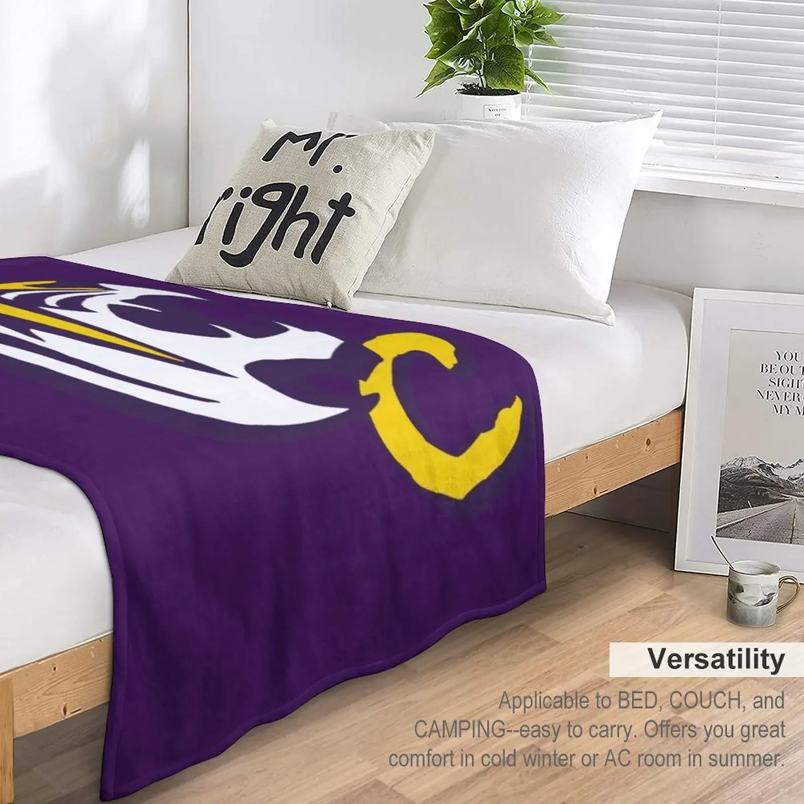 ���׵�Ʈ ȣ���� ������ ���, ħ��� ���� ���, �ʴ��� ������ ���