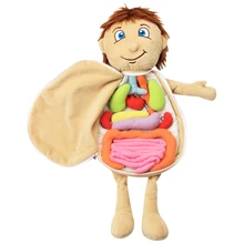 

3D Organ Toy Set for Human Organ Recognition Anatomy Toy Early Educational Organ Plush Toys Detachable Human Body