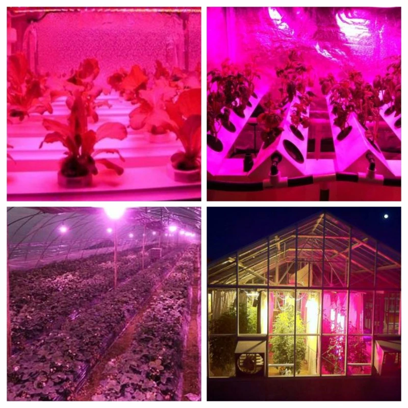 Рисунок 6 - Светодиодная лампа полного спектра