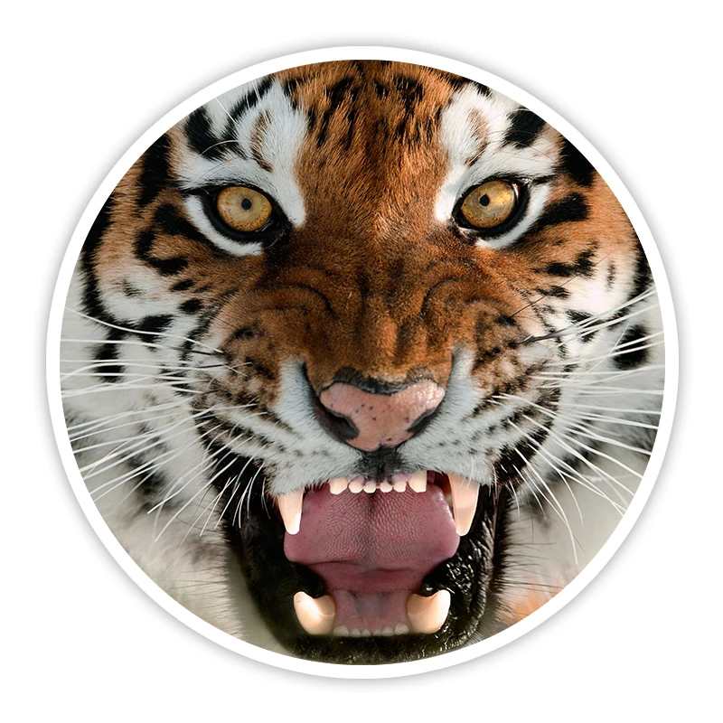 W-1166 Personality Tiger Head Modeling Popular Car Sticker PVC Fashion Auto Window Bumper Waterproof Quality Self-adhesive Decal |