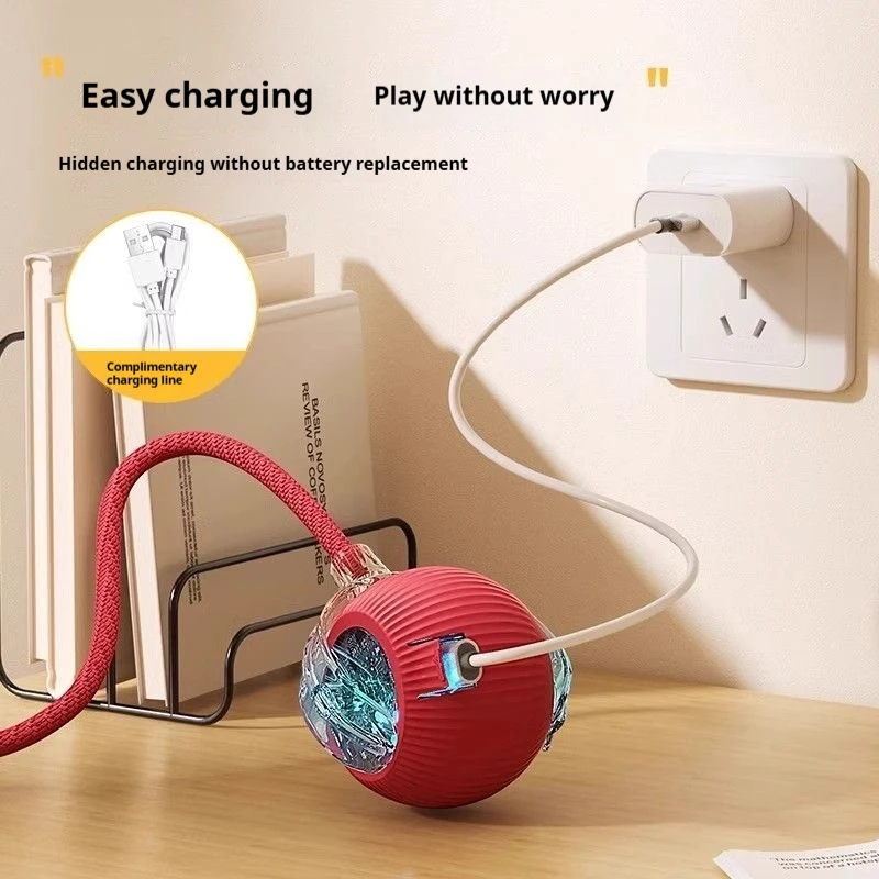 Automatic Rolling Pet Ball 6