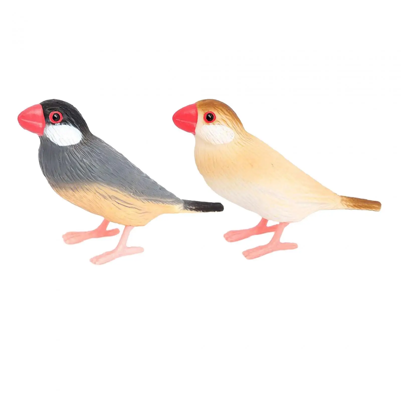 Simulation Bird Model Sculptures Home Decor Collection Small Bird Figures Toy Garden Bird Toy for Photo Props DIY Landscaping