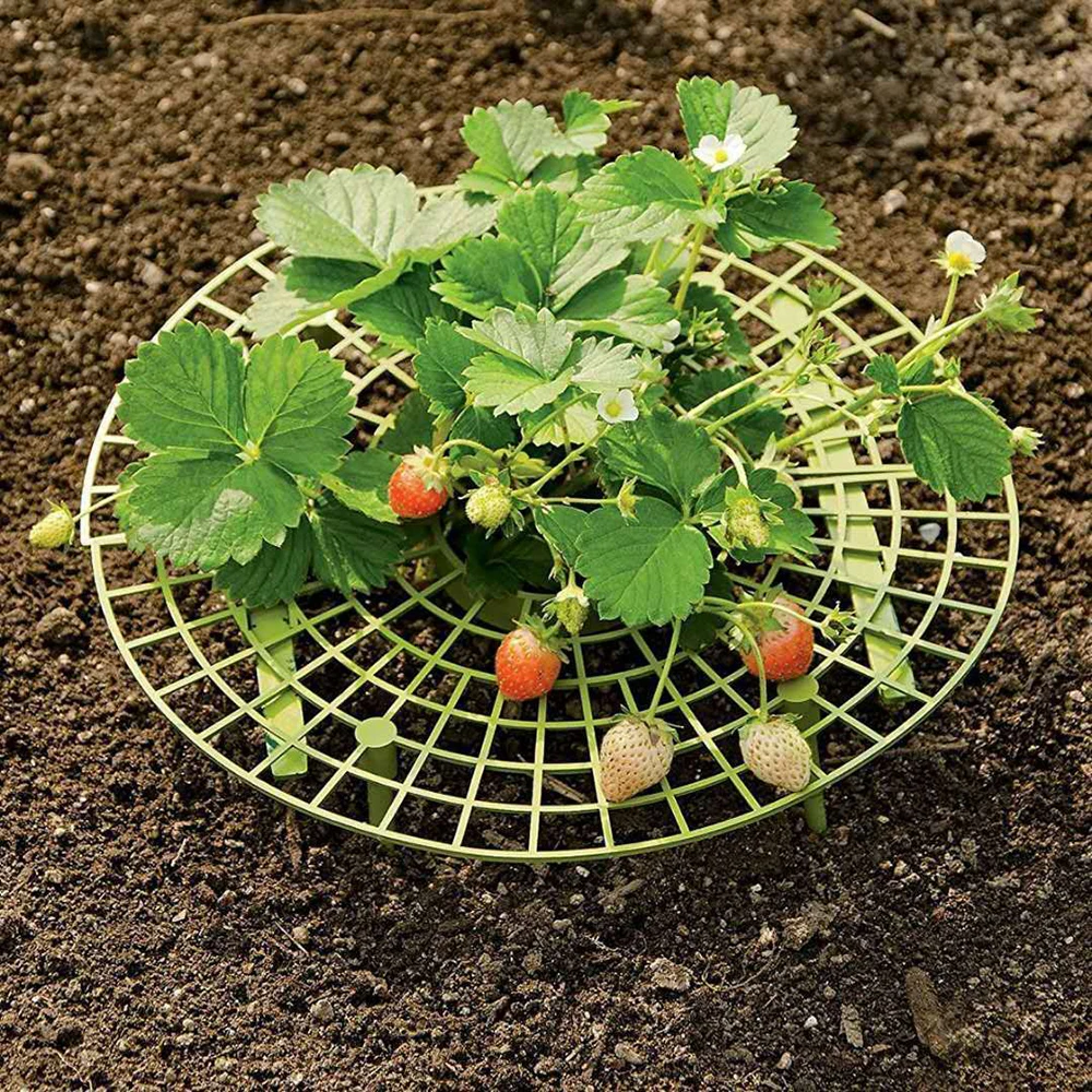 Strawberry Stand Frame Holder Balcony Planting Rack Fruit Support Flower Climbing Vine Pillar Gardening Stand