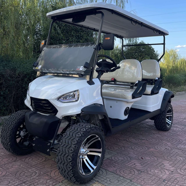 2023 Top Sales Mini Electric Golf Cart Club Car Golf Cart Low Chassis  Lithium Battery Custom Smart Golf - AliExpress
