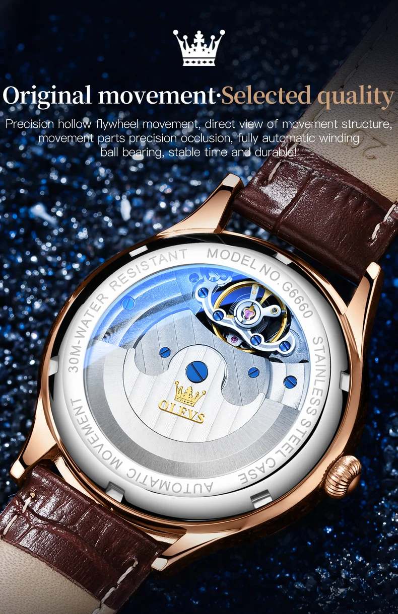 OLEVS 6660 Skeleton Multifunction Automatic Mechanical Watch Price in