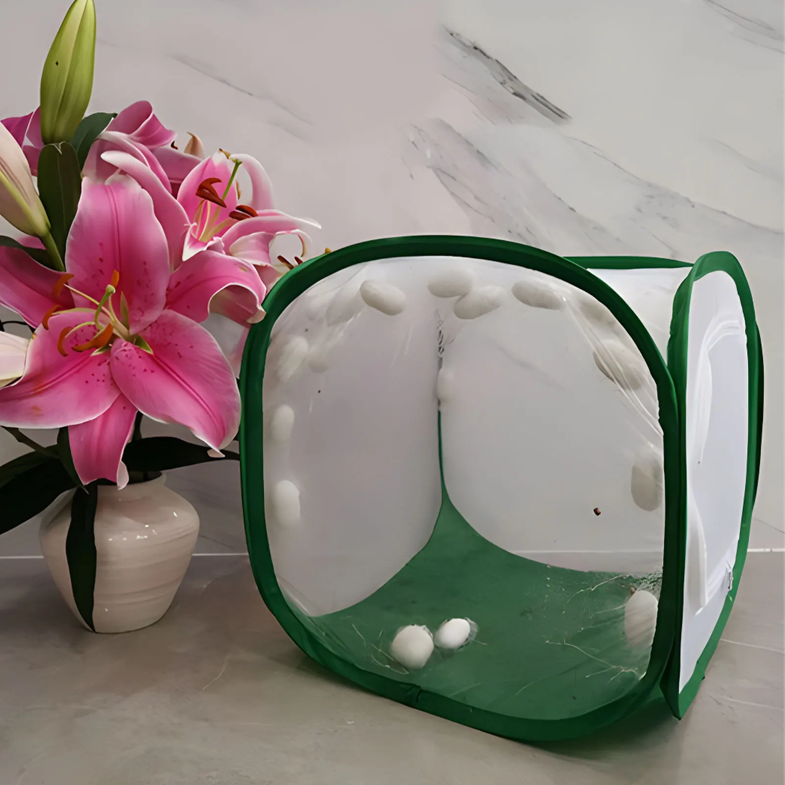 Insect Butterfly Observation Cage Net