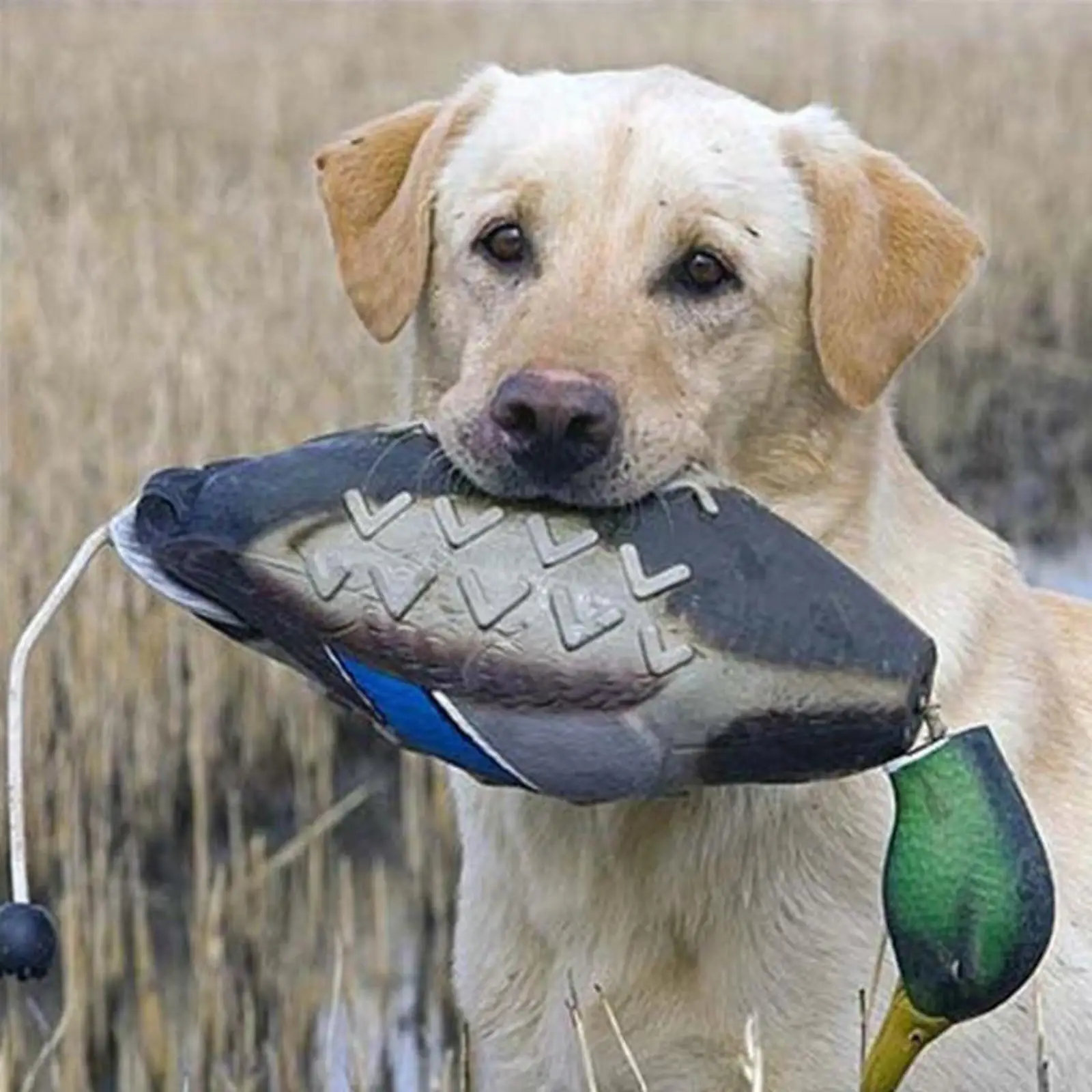 

Mallard Duck Decoy Hunting Decoy Outdoor Scarecrow Decor Lawn