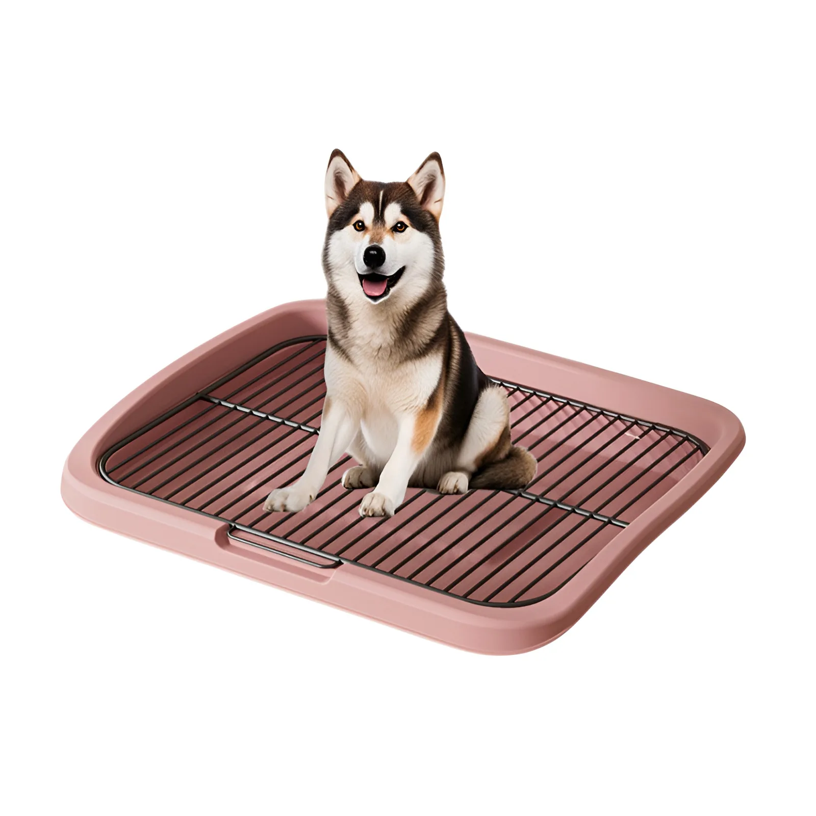 24kg-Pink