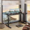 Electric Height Adjustable Standing Desk Large 55 x 24 Inches Sit Stand Up Desk Home Office Computer Desk Memory Preset 1
