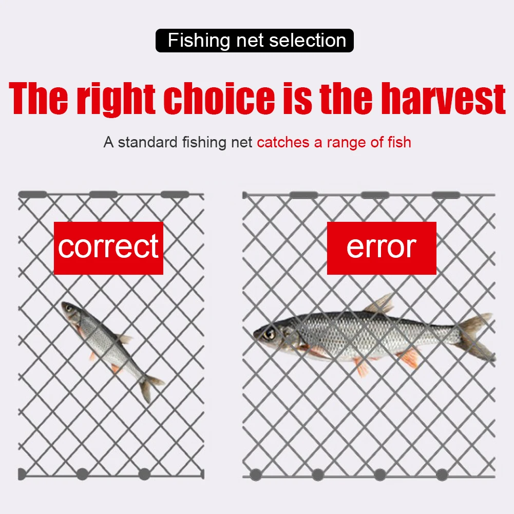 https://ae01.alicdn.com/kf/S9787cf6f479248719215e4c82b6f87e22/Nylon-Strip-Net-Three-Layers-Crucian-Carp-Fish-Trap-Cage-Network-Fishing-Tackle.jpg