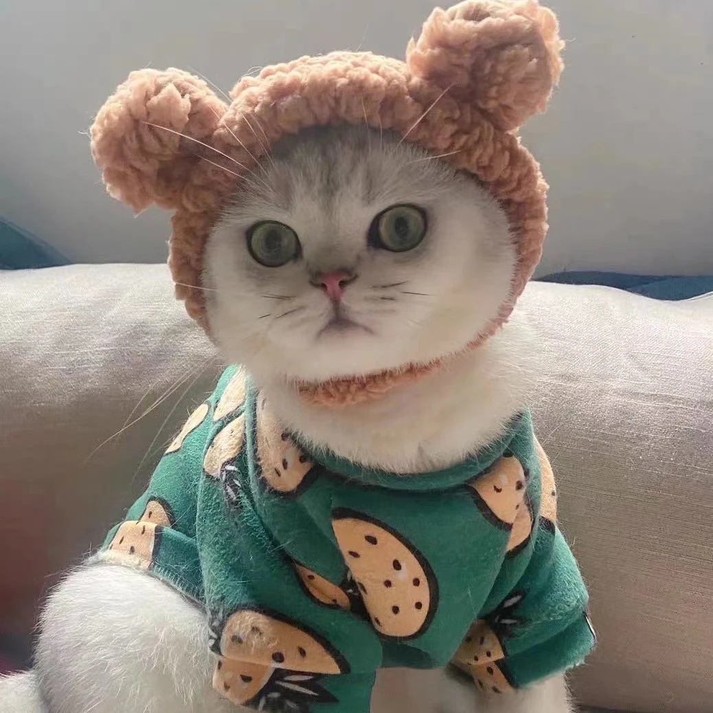 Image: https://ae01.alicdn.com/kf/S9788fb3d544b4b638262561d801ff93bb.jpg?width=1038&height=1038&hash=2076 Funny Cute Cat Headgear Dog Headgear Hat Birthday Dress Up Headdress Plush Rabbit Ears Pet Supplies Pet Accessories Cat Hat - AliExpress