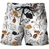3D Cats Print Shorts Men Women Kid Fashion Y2k Leisure Oversize Short Pants Summer Cool Mens Swim Short Sport Beach Shorts 4
