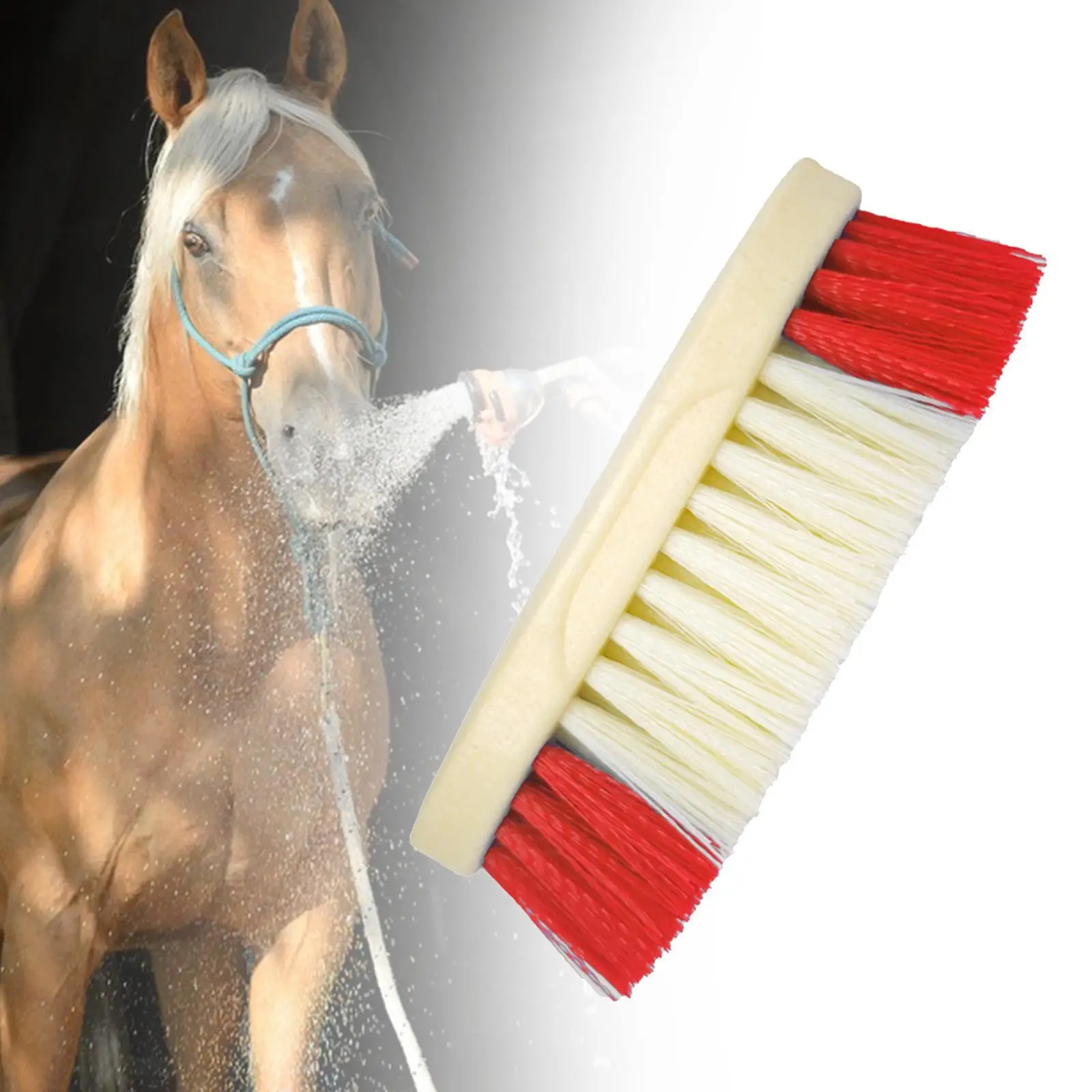 Horse Cleaning Brush Random Color Portable for Enthusiast Horse Care Bathing