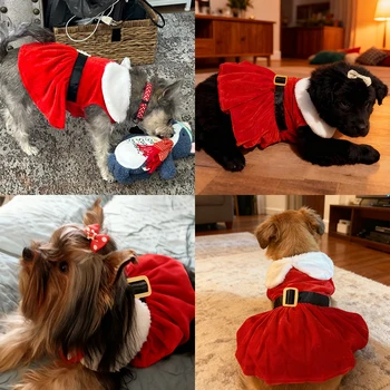 Robe de Noël pour Petits Chiens : Tenue de Fête Festive pour Chihuahua, Carlin & Yorkshire - 2025 - Doglovedesign : Vêtement et accessoires pour chiens