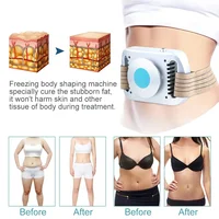 Fat Freezing Burning Machine Body Slimming Lipo Anti Cellulite Cold Therapy  Fat Frozen Weight Loss Device 2
