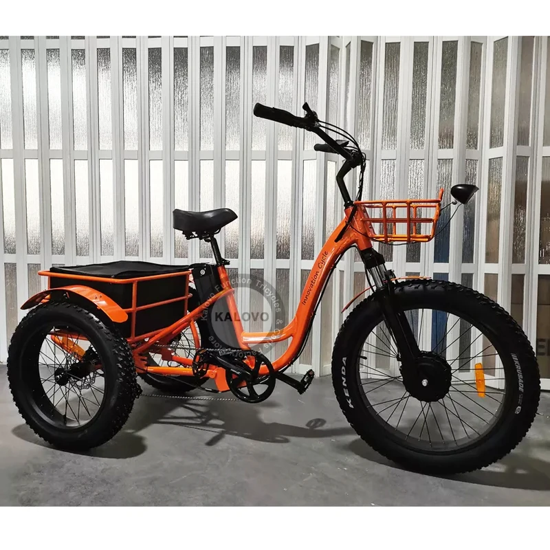 Three Wheel Fat Tire Electric Trike For Adult With 48V Lithium Battery