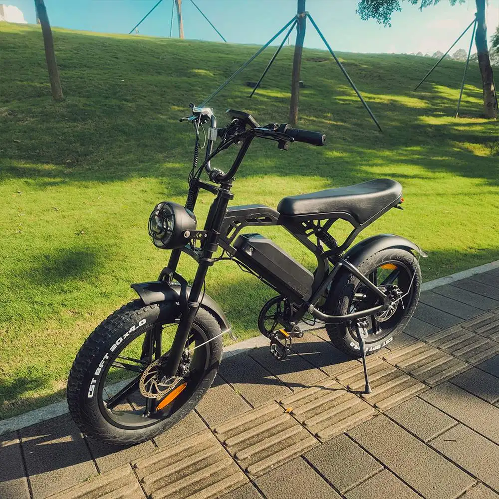 Buy Fasticycle Mountain Fatbike Fat Tire Ebike Eu Cheap 20inch Steel Lithium Battery LCD Displaycustom