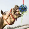 Hay Feeder Equine Horse and Pony Treat Ball Goat Hay Hanging Feeding to Sheep Feeding Dispenser Feeding Toy for Horse Cattle 3