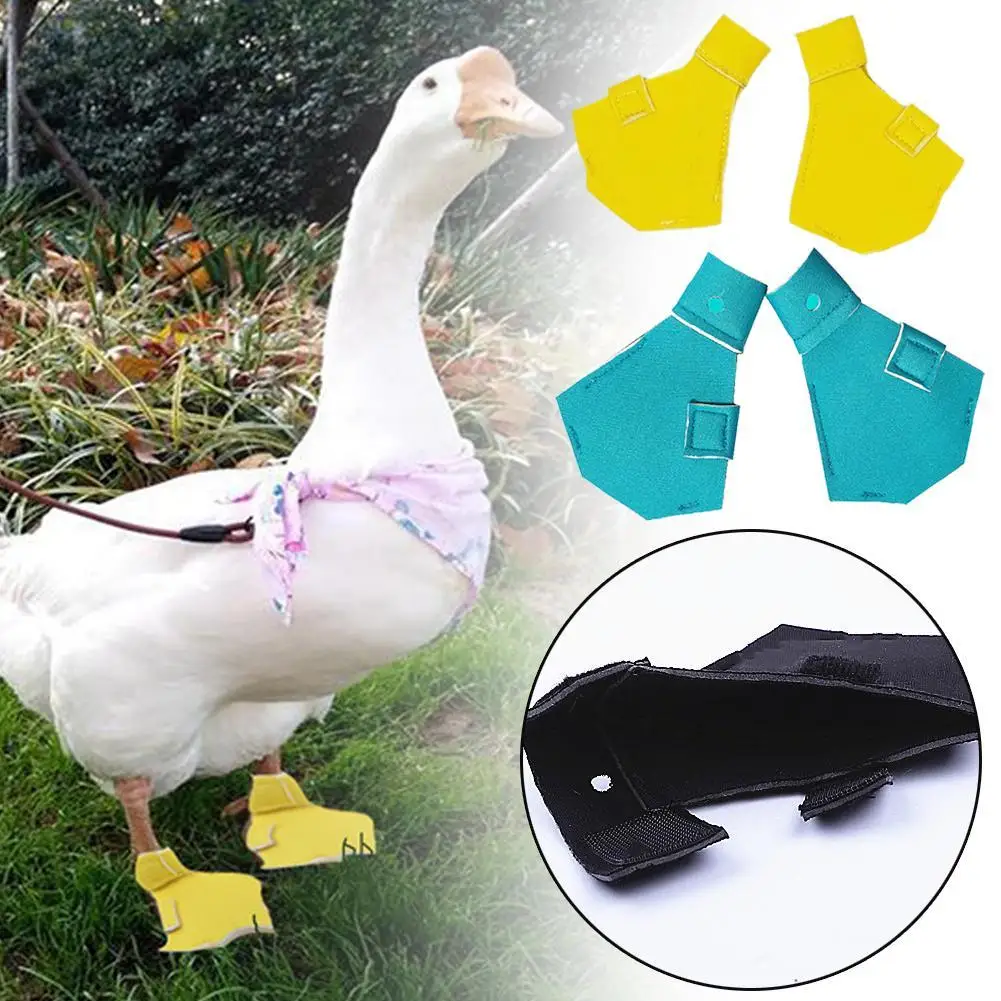 

2pcs Waterproof Lightweight Pet Duck Shoes Casual Walking Booties Footwear For Small Ducks Gooses Outdoor Duck Booties