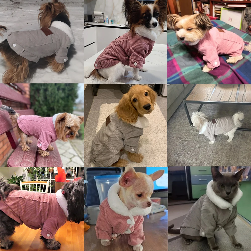 Title 8, Dog Jacket Autumn Winter Clothes For Small Medi...