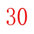 Image 13