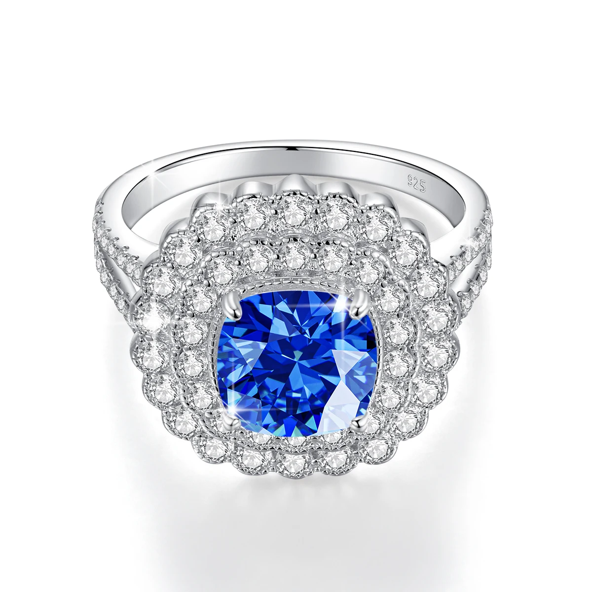 S97958ca94d4c4c0cb8a3963ffdadaa6ds