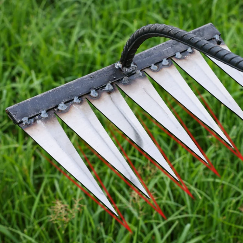 Râteau à Main Pour Jardin - 5/6 Dents En Acier, Désherbage Et Ameublissement Du Sol, Outil Manuel Ergonomique