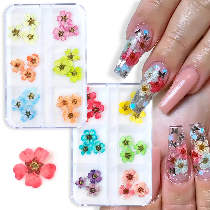 Nail Art Decoration 12/18Pcs/box 3D Dried Flowers Stickers DIY Manicure Charms Designs For Nails
