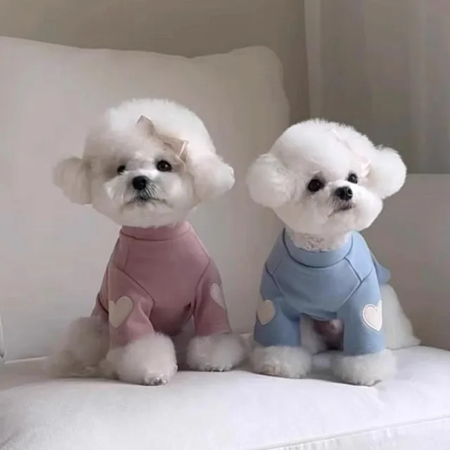 Love Embroidered Dog Sweatshirt 3