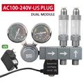 Dual module-US plug