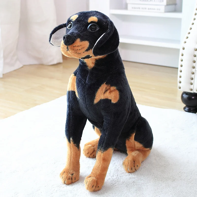black dog