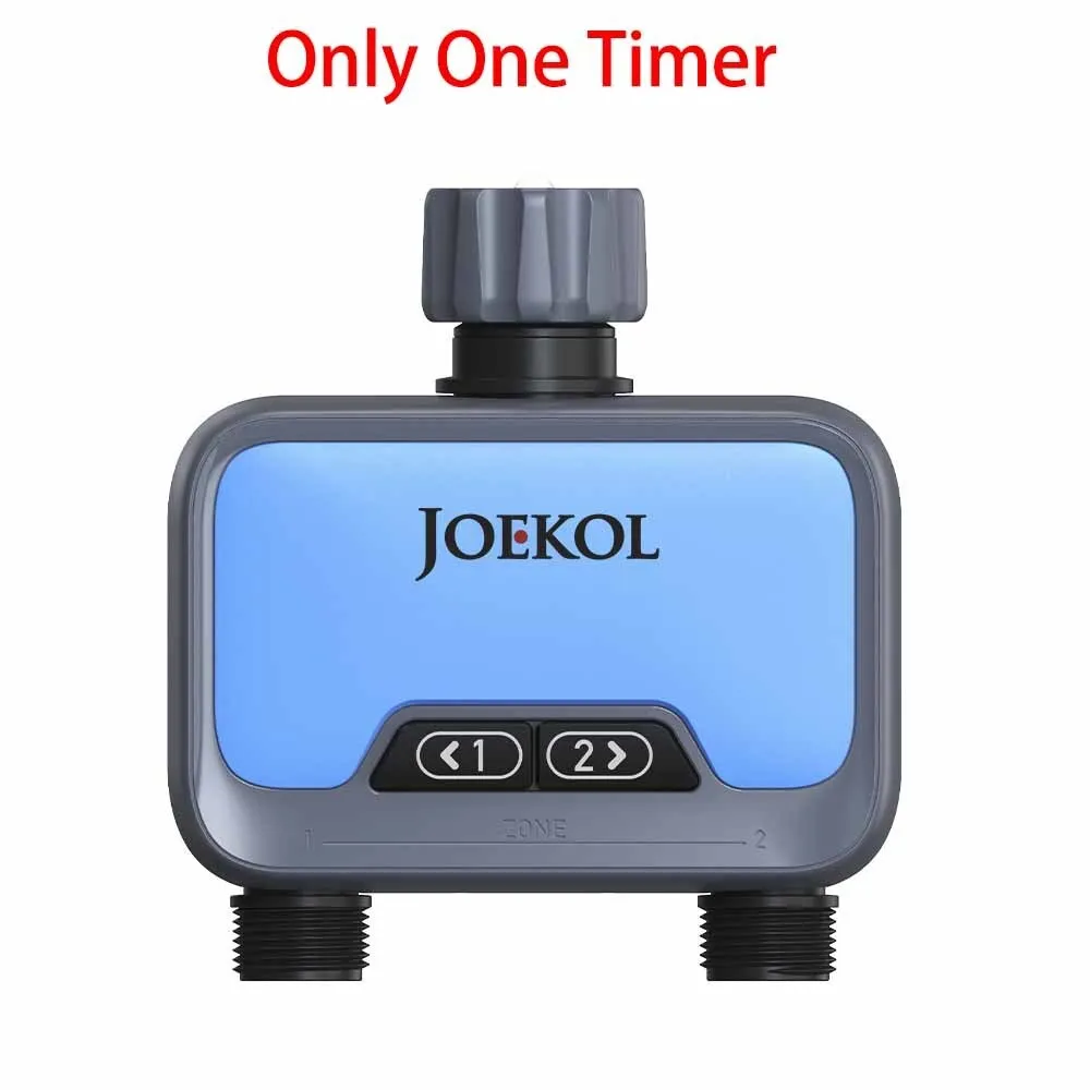 only one Timer