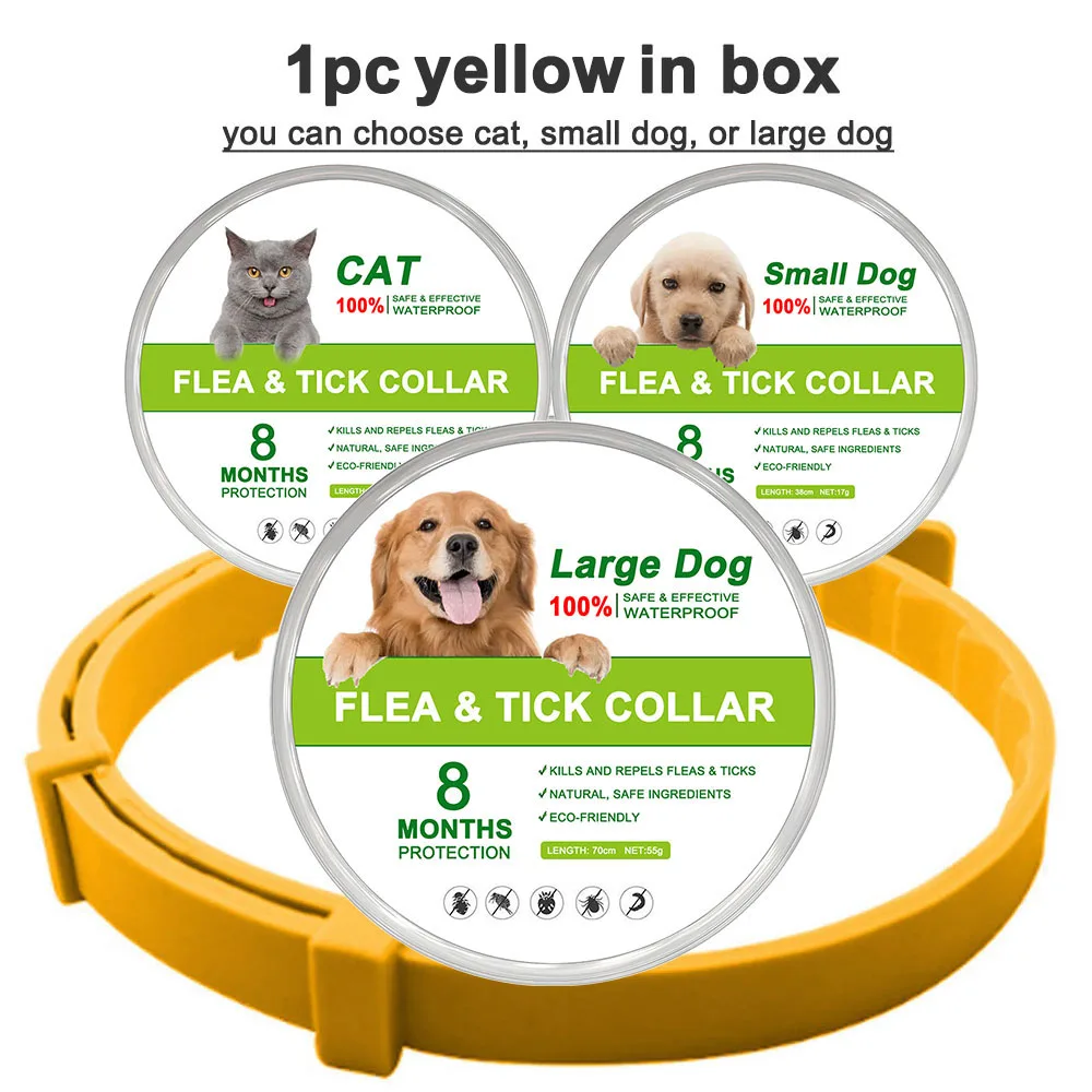 yellow (in box)