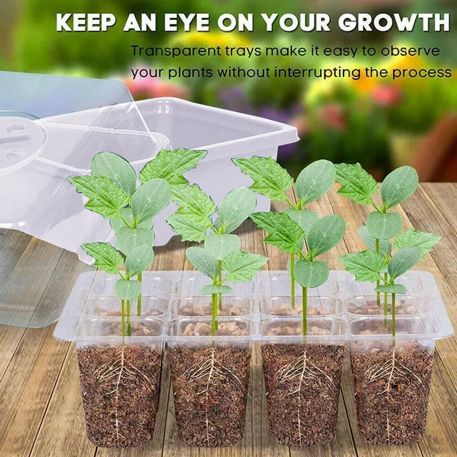 1pc Seedling Pot Green Planting Transplanting Multifunctional Gardening Planting Pot Nursing Care Seedling Box Grow Pots 3