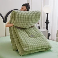 2024 new class A rabbit velvet thick blanket thickened winter quilt core milk velvet winter quilt student dormitory warm 1