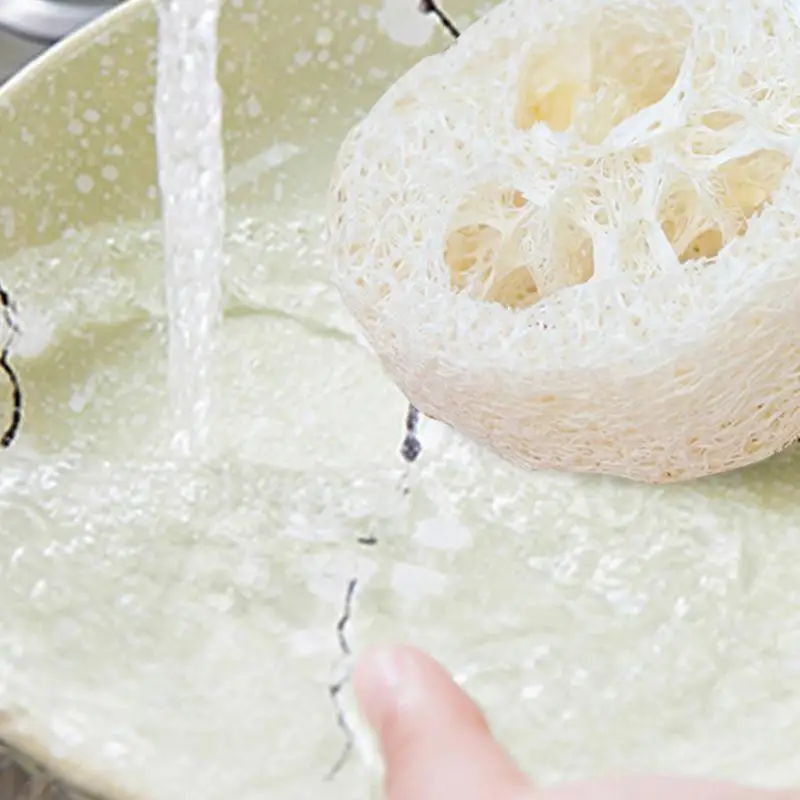 Рисунок 4 - Органические ломтики Loofa