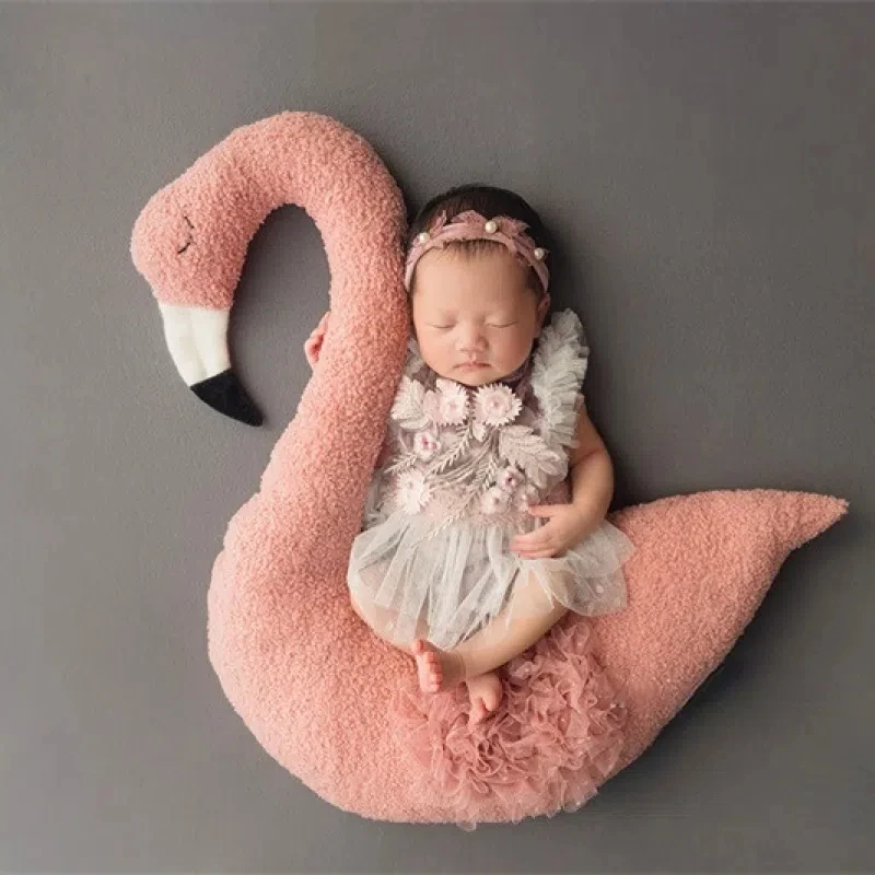 Baby Photography Plush Pillow 2